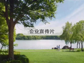 企業(yè)宣傳片